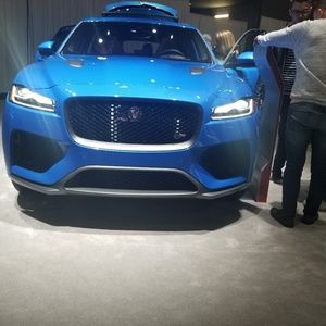 Meet your Posher, Nelson